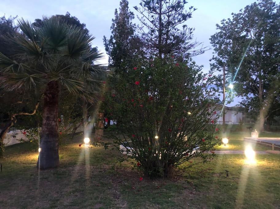 Villa Anastasia! In Strofylia Pine Forest!!! Manolas Exterior foto