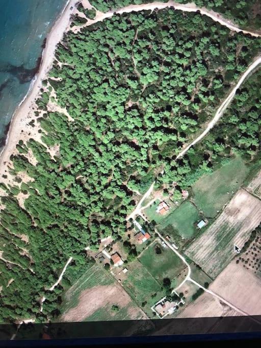 Villa Anastasia! In Strofylia Pine Forest!!! Manolas Exterior foto
